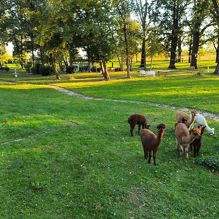 Rittergut מלון Droschkau