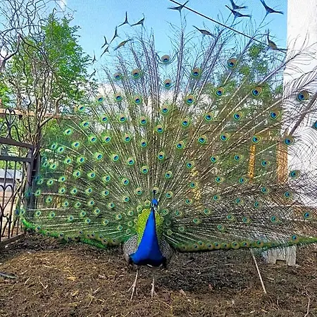 Rittergut Отель *