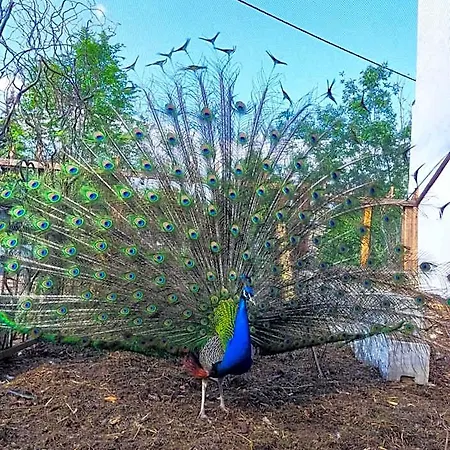 Отель Rittergut