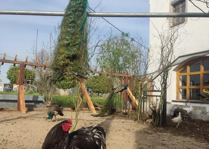 酒店 Rittergut Droschkau